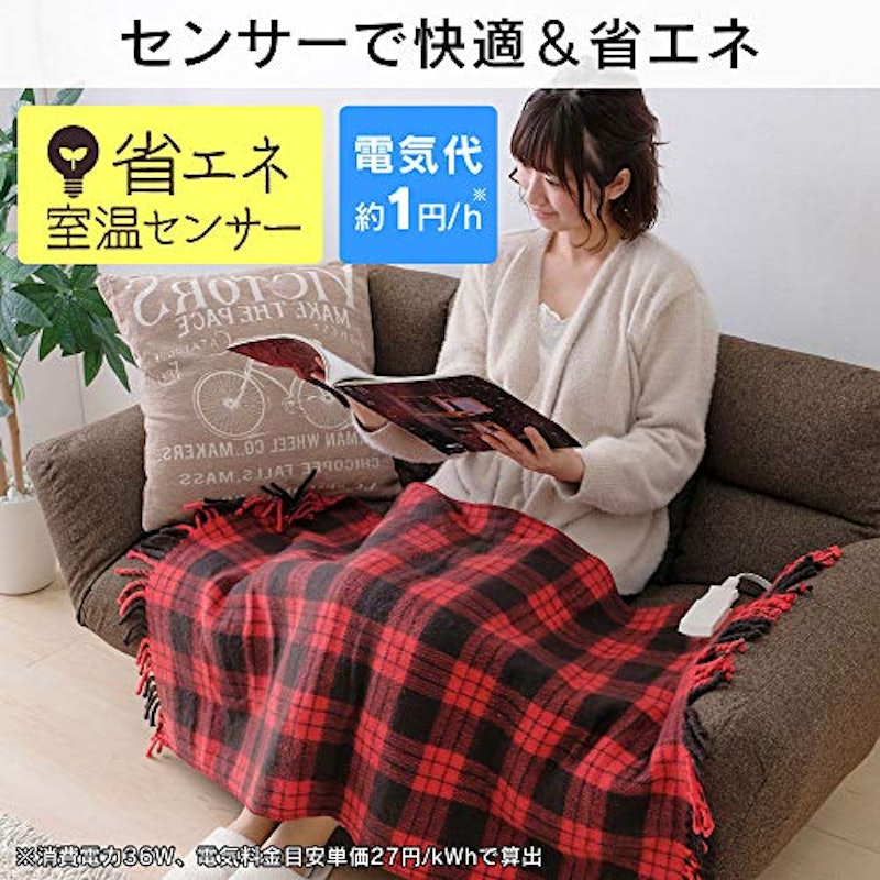 電気毛布 2