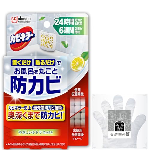お風呂に置くだけ防カビジェル 1