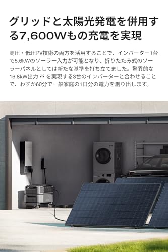 DELTA Pro Ultra スタンダードセット 5