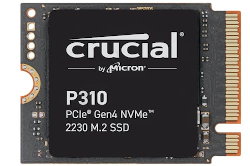 P310 1