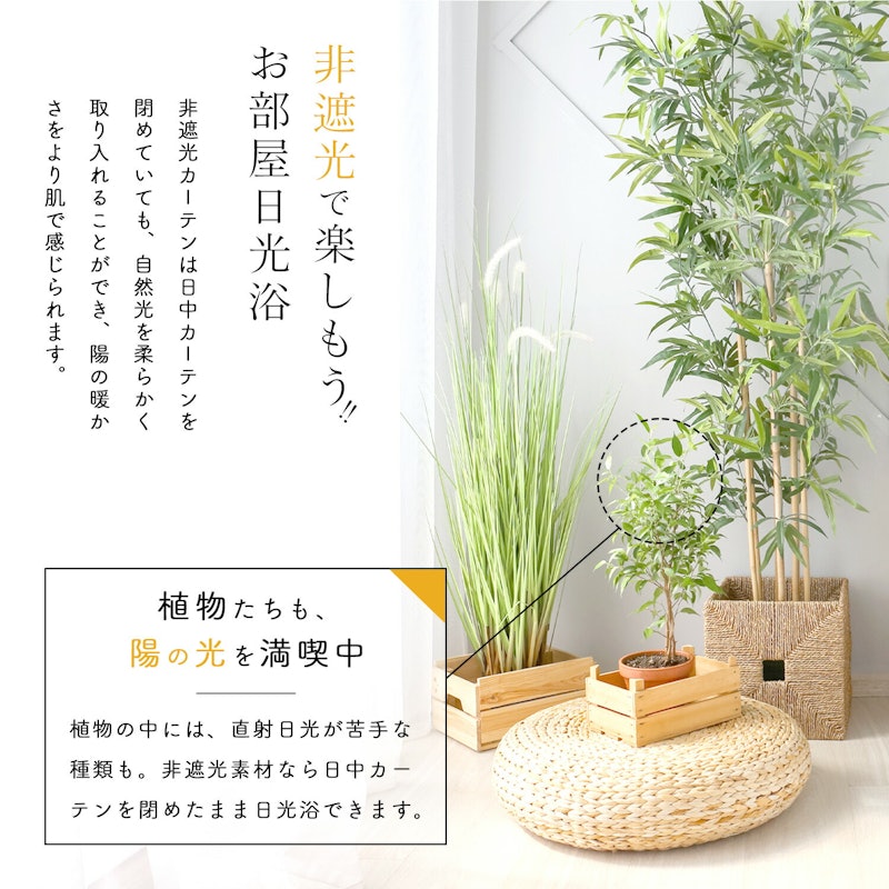 シャイナ 4