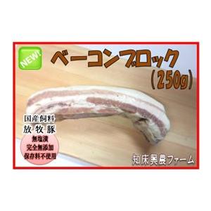 ベーコンブロック 1