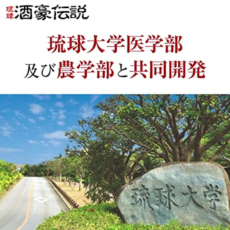 琉球 酒豪伝説 3