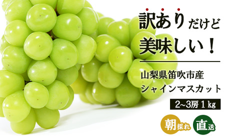 訳ありシャインマスカット 1