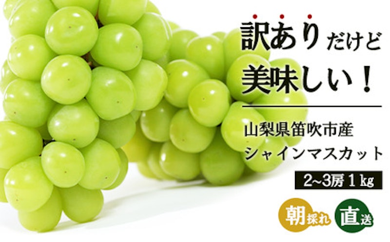 訳ありシャインマスカット 1