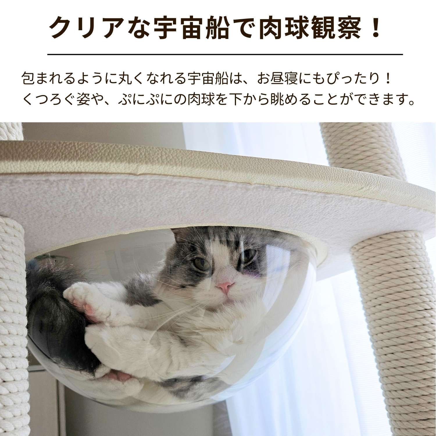 RESIDENCE 宇宙船タイプ 10