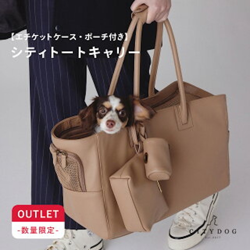 シティトートキャリー 1
