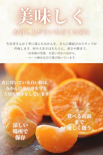 新堂みかん 5