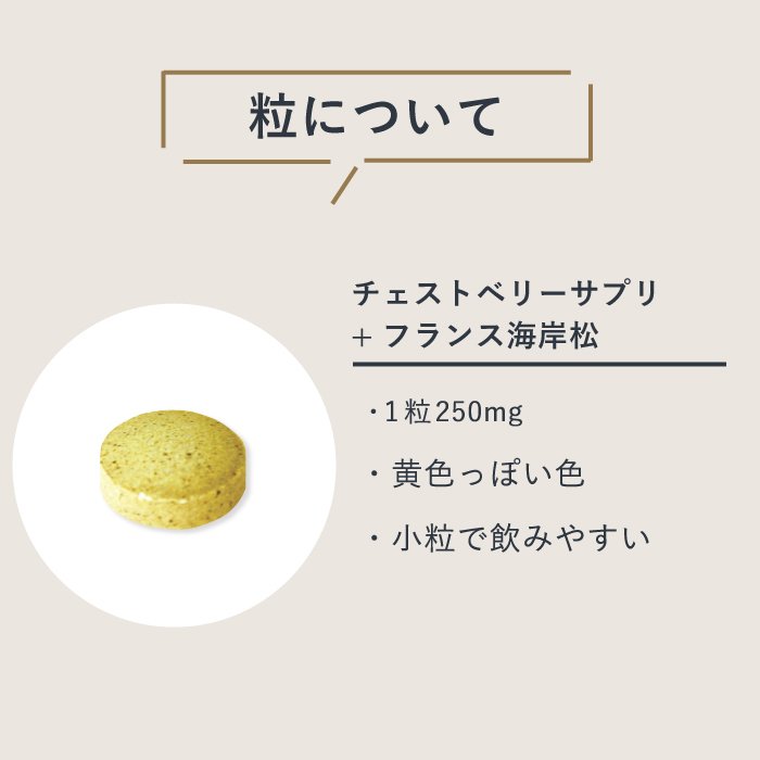 チェストベリーサ&フランス海岸松 2