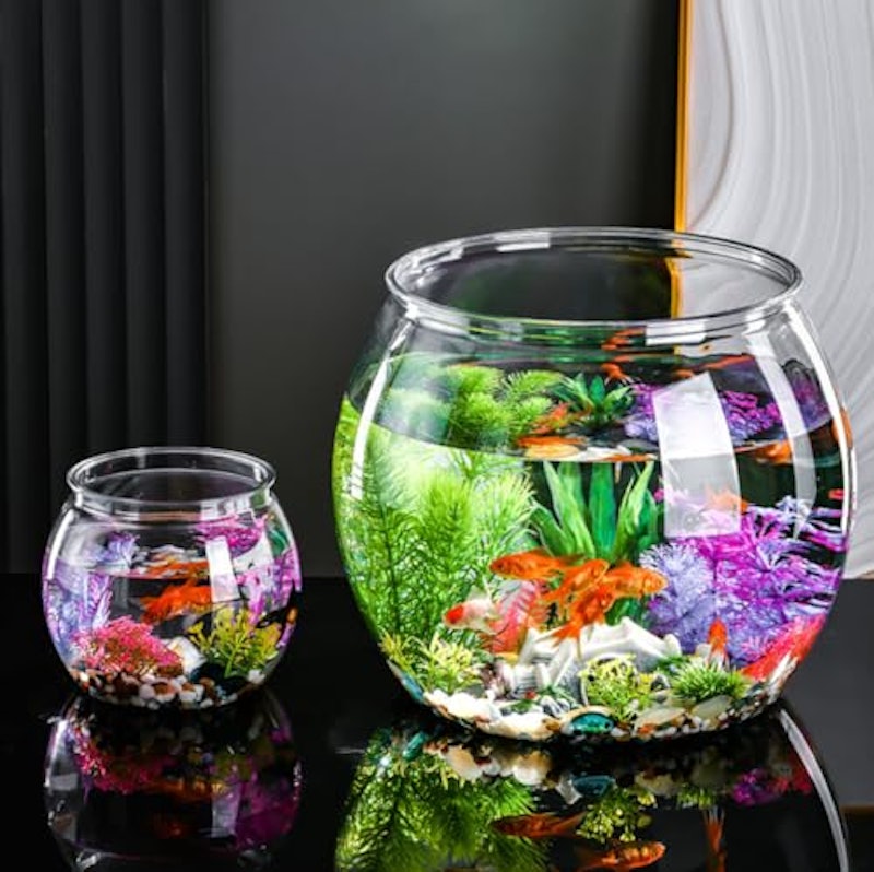 金魚鉢 3