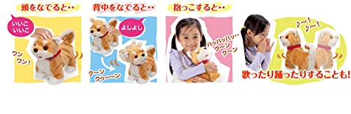 部屋ともワンちゃん 2