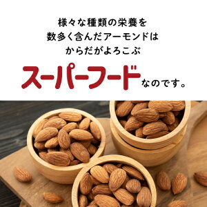 素焼きアーモンド 10
