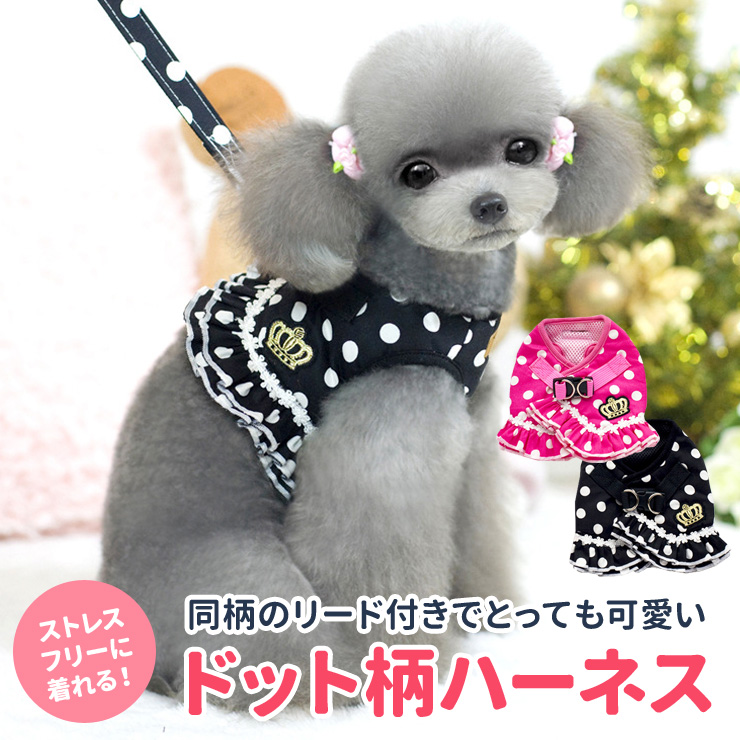 22年 かわいい犬用ハーネスのおすすめ人気ランキング40選 Mybest