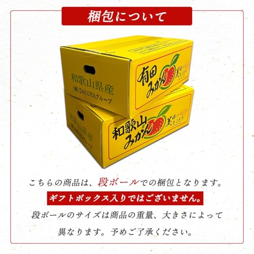 有田みかん 3