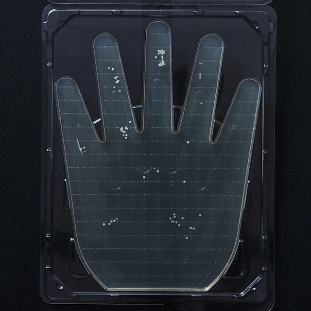 M Mark ラベンダーの釜焚きせっけん泡ハンドソープを全40商品と比較 口コミや評判を実際に使ってレビューしました Mybest