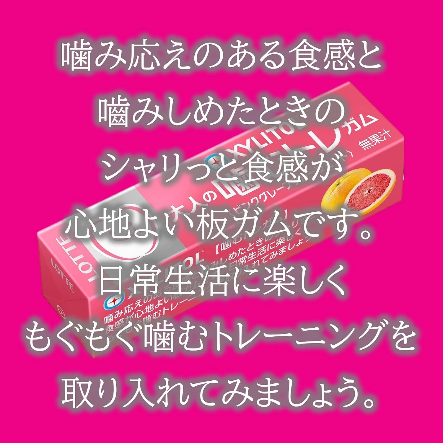 大人の噛むトレガム  2