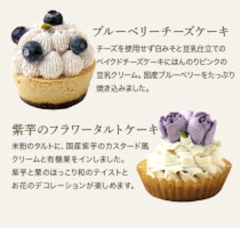 フォーチュンキッチン ヴィーガンケーキ 8