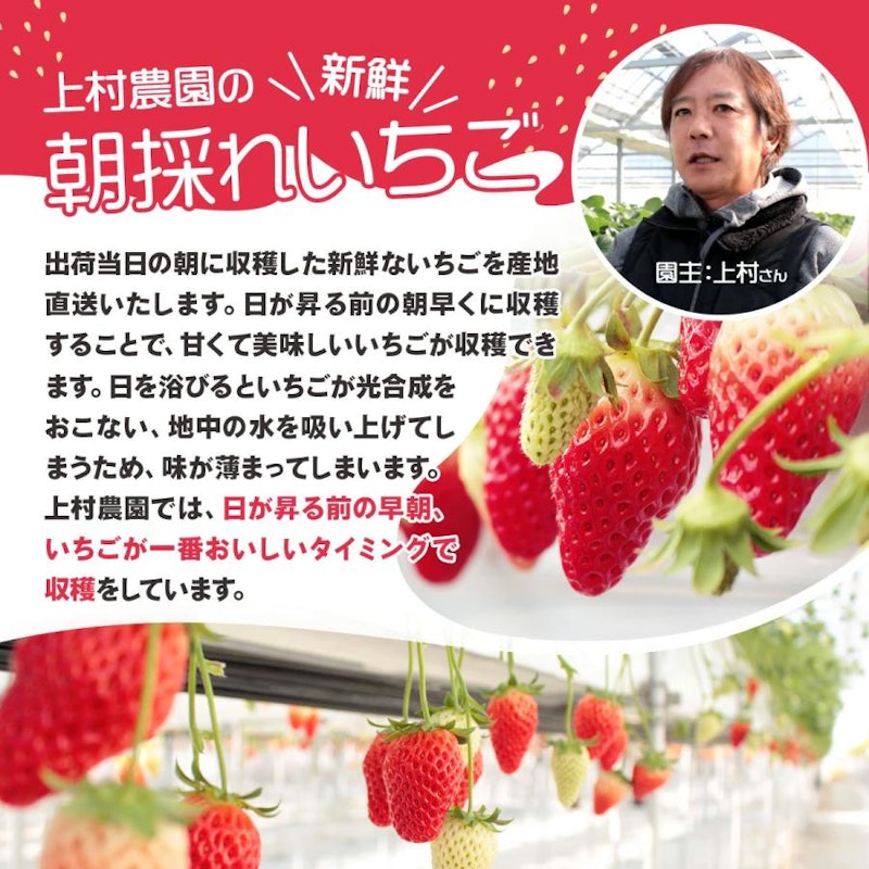 章姫 6