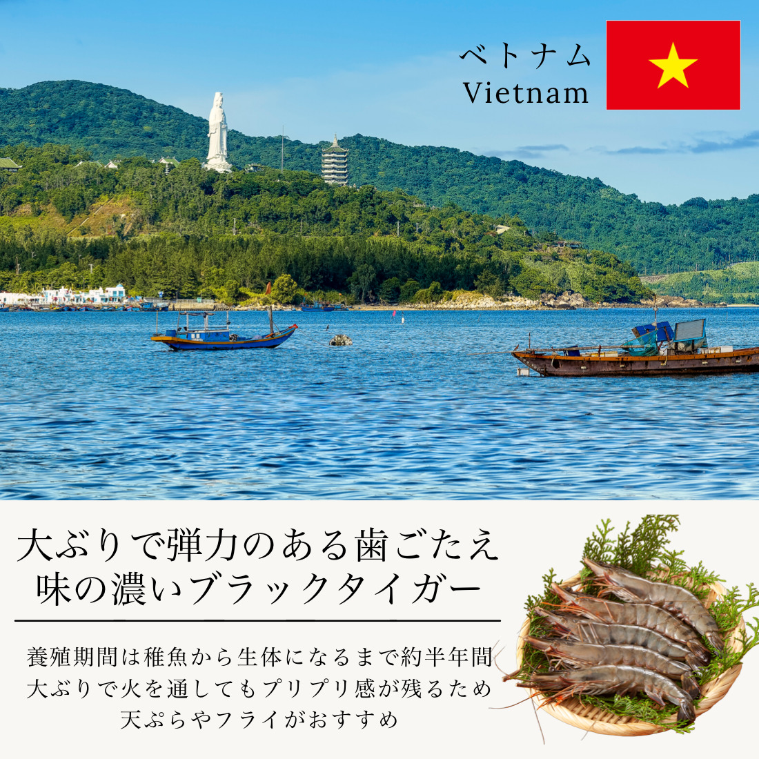 大きな むきエビ 500g（約35尾入） 2
