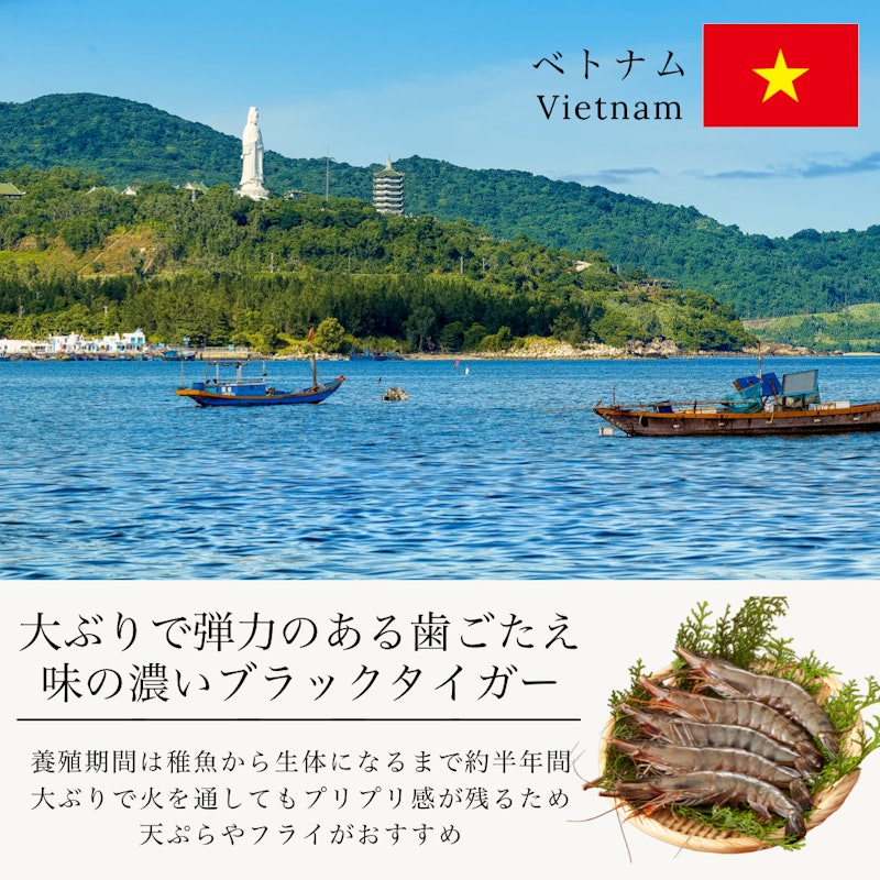 大きな むきエビ 500g(約35尾入) 2