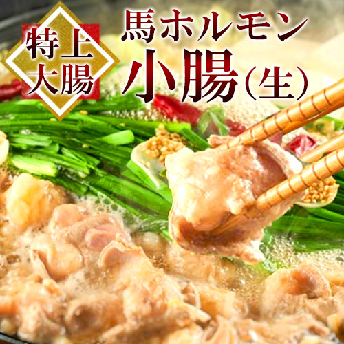馬ホルモン 特上小腸 3