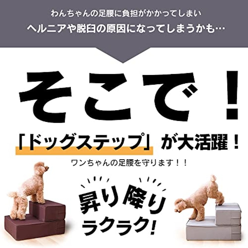 ドッグステップ 3