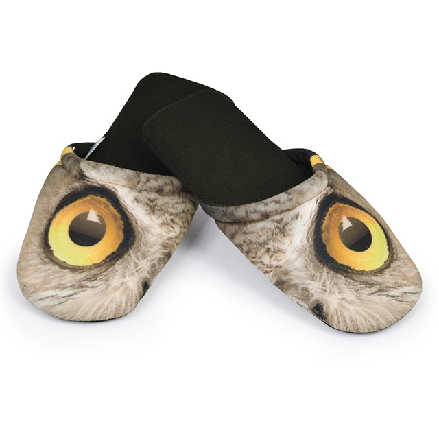 EYES OWL 3