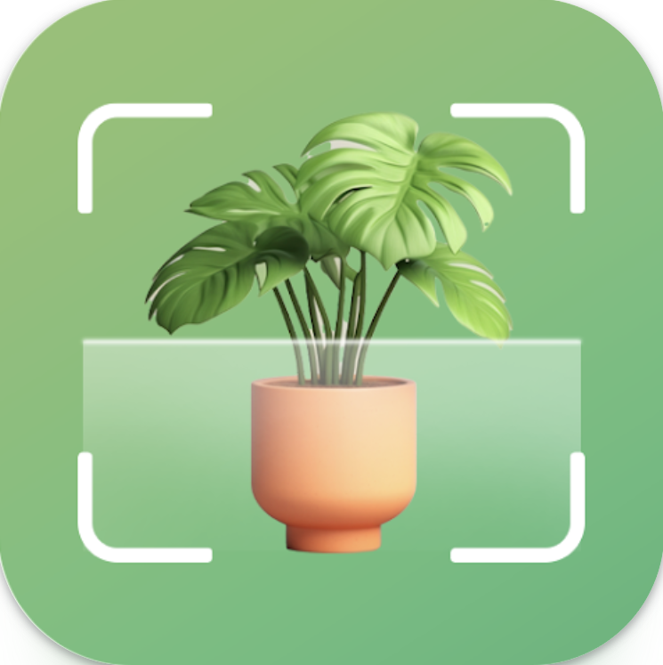植物識別と植物の手入れ 1