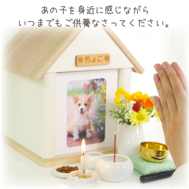 クリメイションハウス 虹の橋のおうち 15