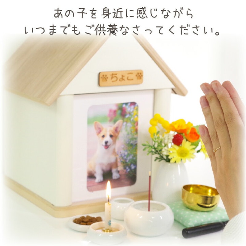 クリメイションハウス 虹の橋のおうち 15