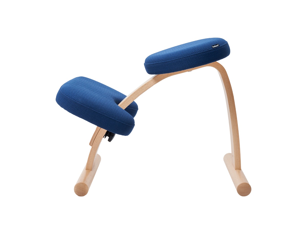 バランスラボ ラクに姿勢がよくなる椅子 バランス イージーをレビュー バランスラボ ラクに姿勢がよくなる椅子 バランス イージーをレビュー