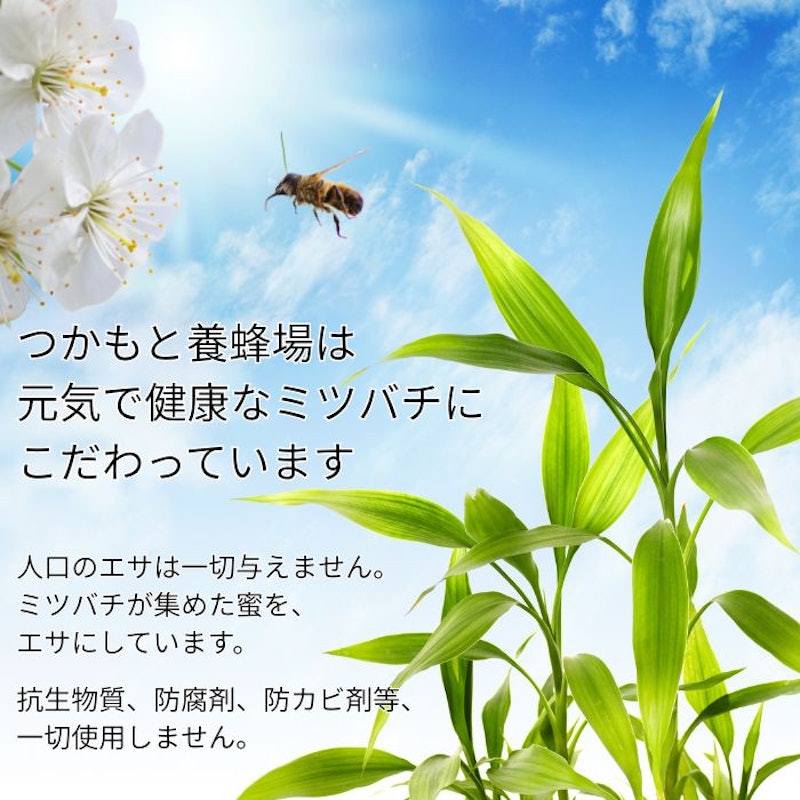 匠のはちみつ プレミアム 完熟純粋蜂蜜 3