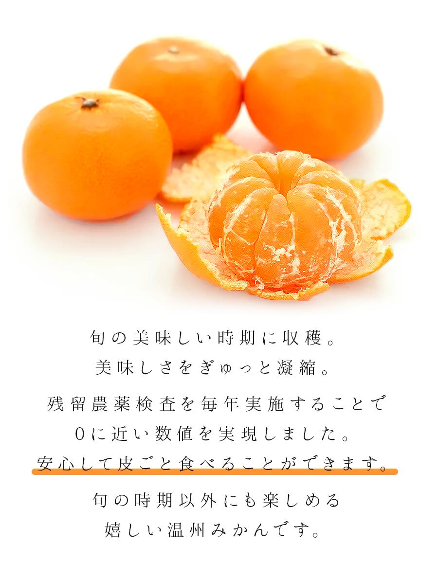 薄切りドライみかん 3