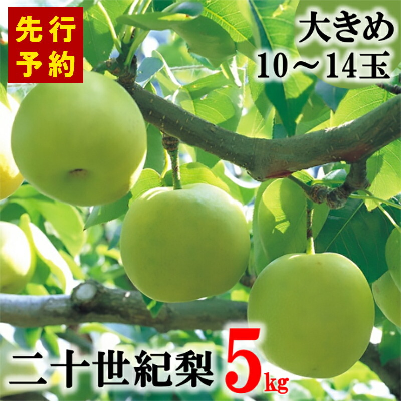 20世紀梨 香住梨 秀品 1