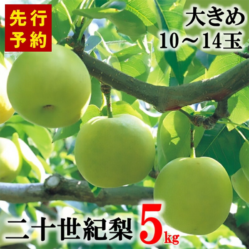 20世紀梨 香住梨 秀品 1