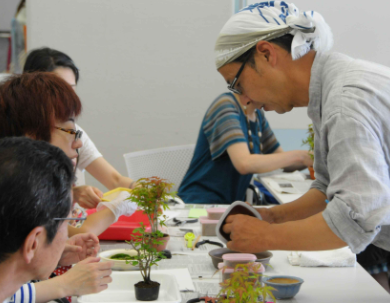 東京都内の盆栽教室のおすすめ人気ランキング4選 Mybest