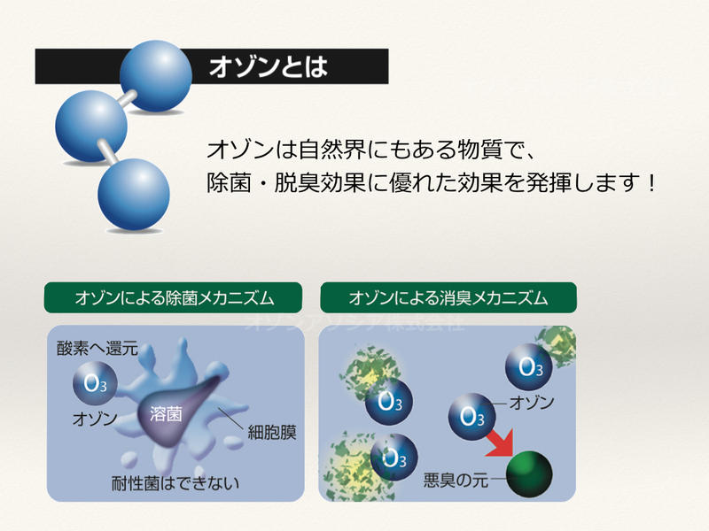ハイジェニック 3