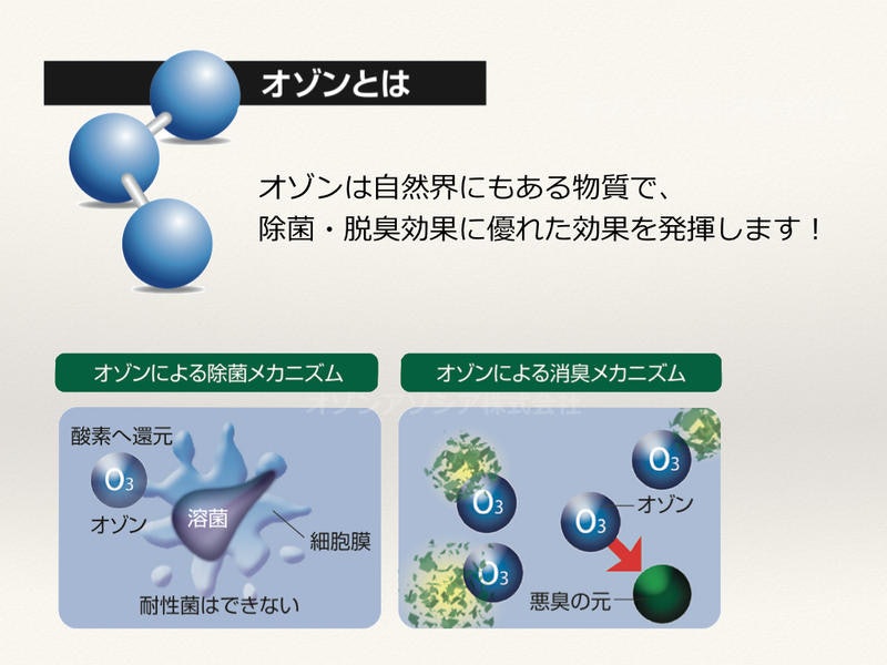 ハイジェニック 3