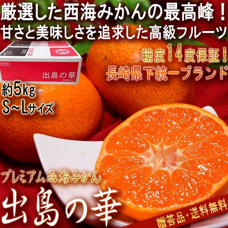出島の華 プレミアム西海みかん  1
