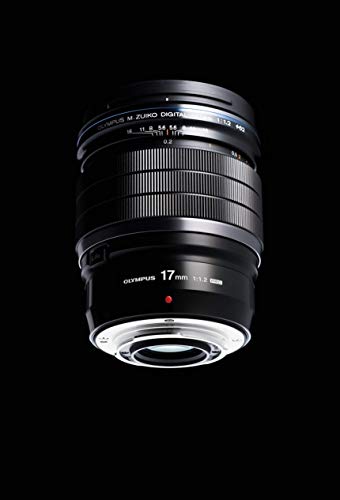 M.ZUIKO DIGITAL ED 17mm F1.2 PRO 5