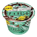 市販チョコレートアイスクリームのおすすめ人気ランキング【2026年7月】 5