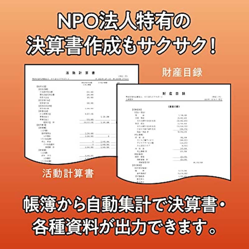 会計王22 NPO法人スタイル 5