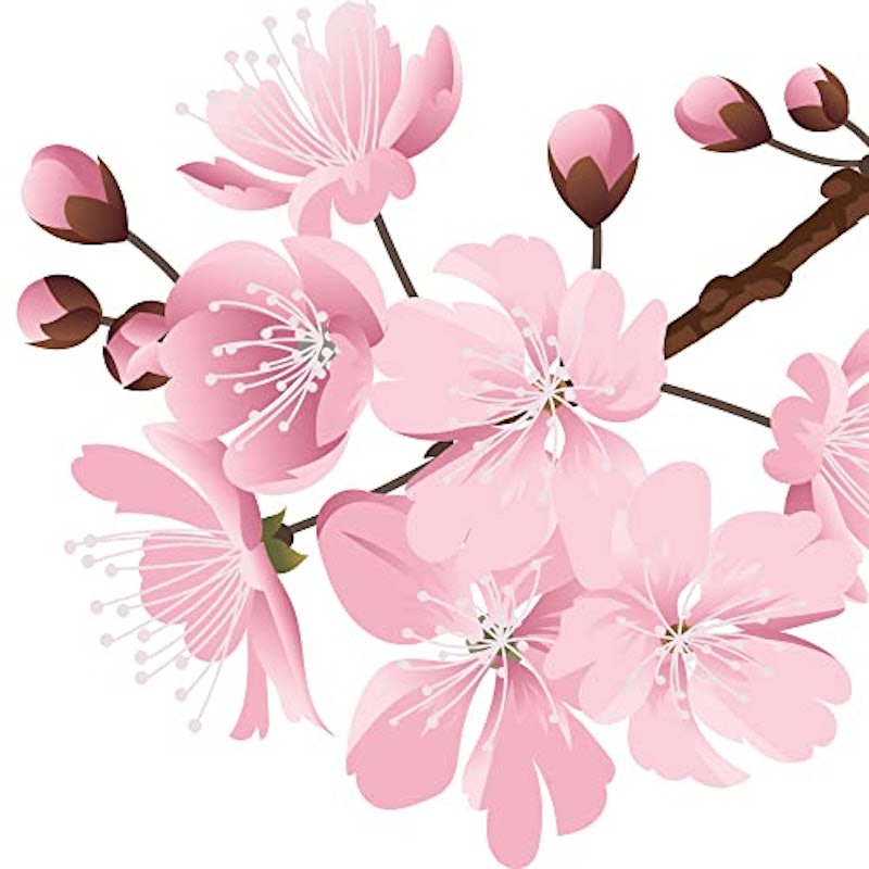 桜 ウォールステッカー 4