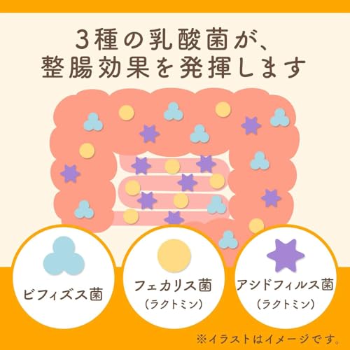 エビオス整腸薬 3