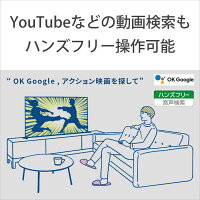 4K液晶テレビ 12