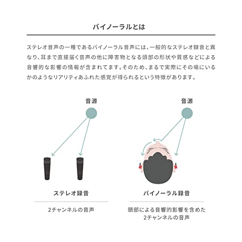 バイノーラル録音マイク 3