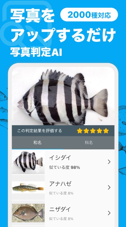 魚みっけ 2