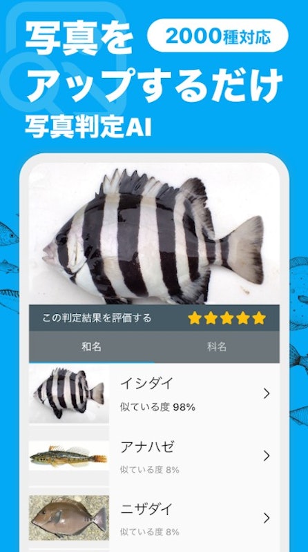 魚みっけ 2