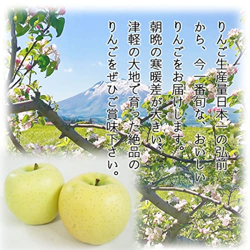 青森県産りんご 星の金貨 2