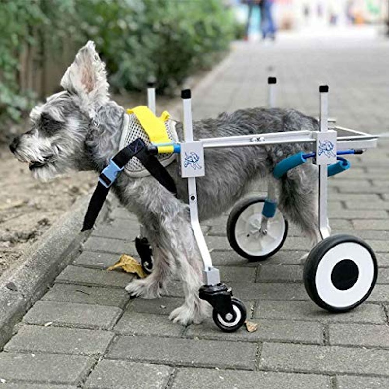 犬用車椅子 3
